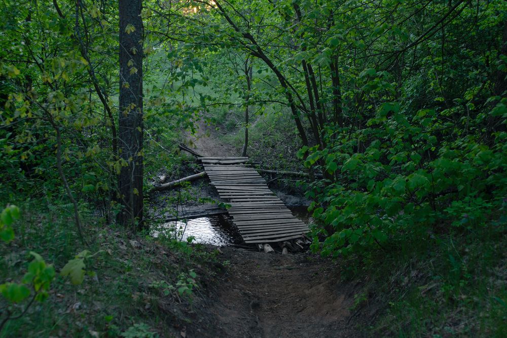 Photograph by Светлана Зайкова