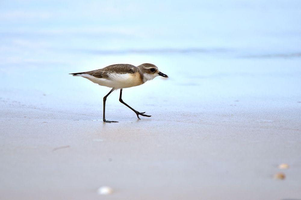 Photograph by Игорь Боголюбов