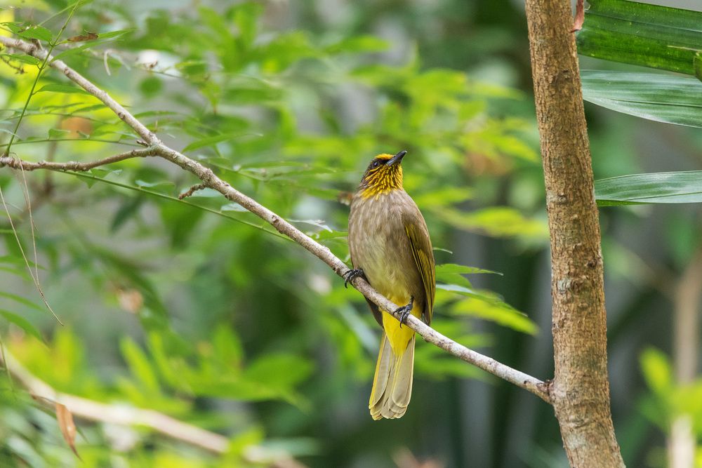 Photograph by Игорь Боголюбов