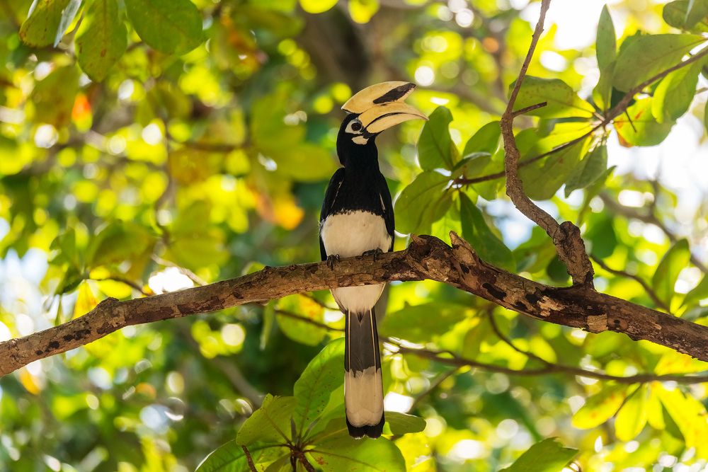 Photograph by Игорь Боголюбов