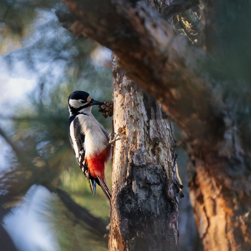 Photograph by Eduard Zhuravlev