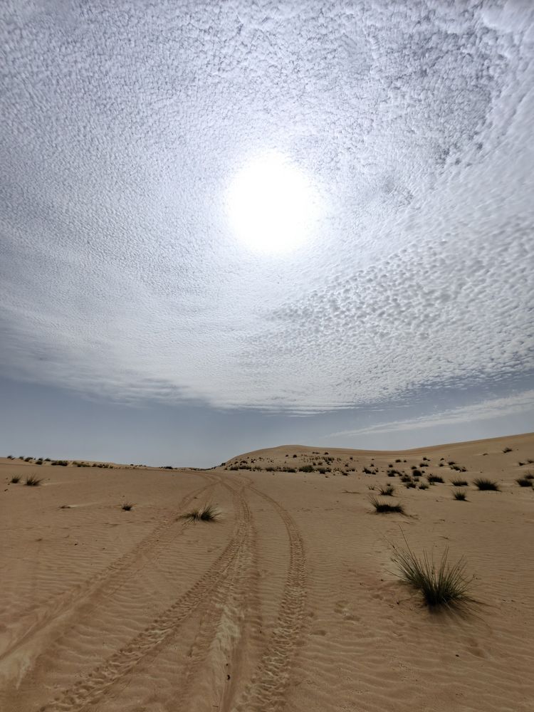 Photograph by Ксения Ершова