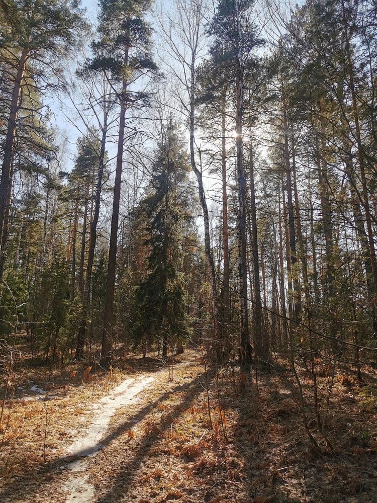 Photograph by Ксения Ершова