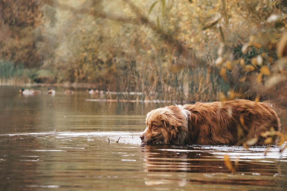 Photograph by Ксения Воробьева