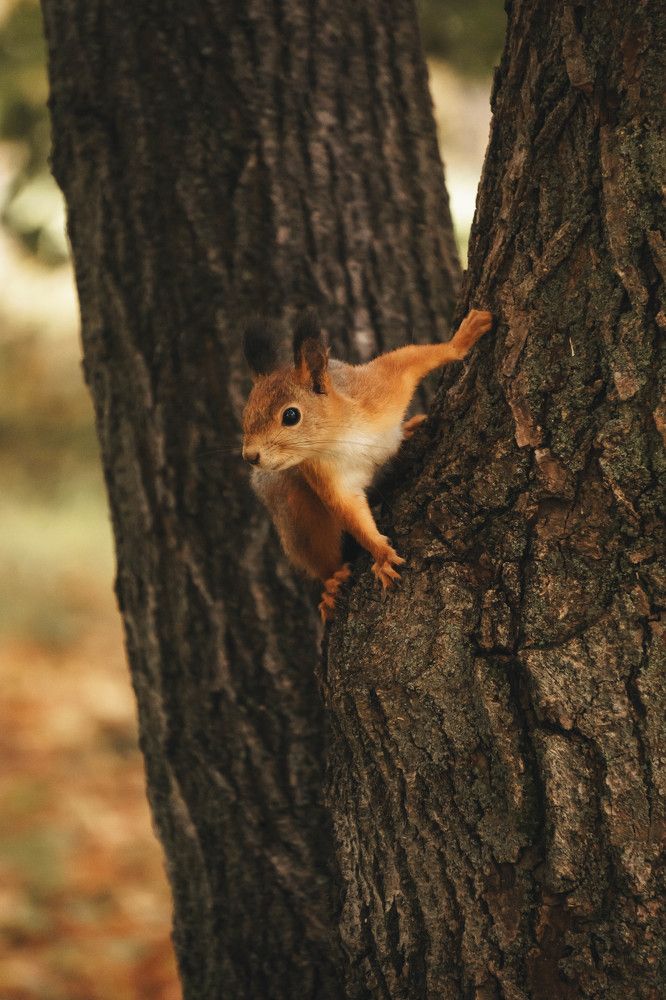 Photograph by Ксения Воробьева