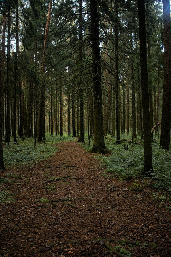 Photograph by Ксения Щукина