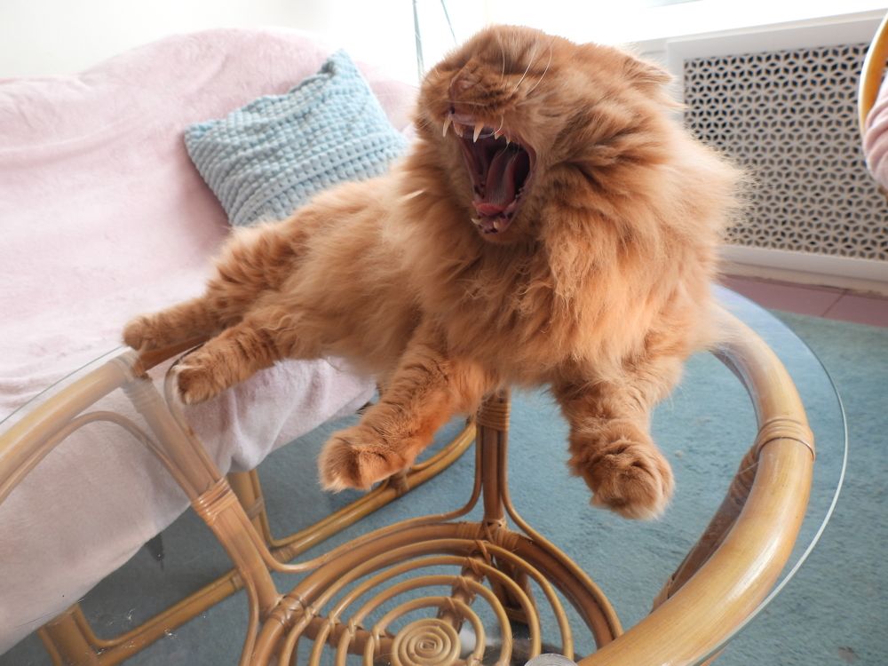 Photograph by Виктор Бута