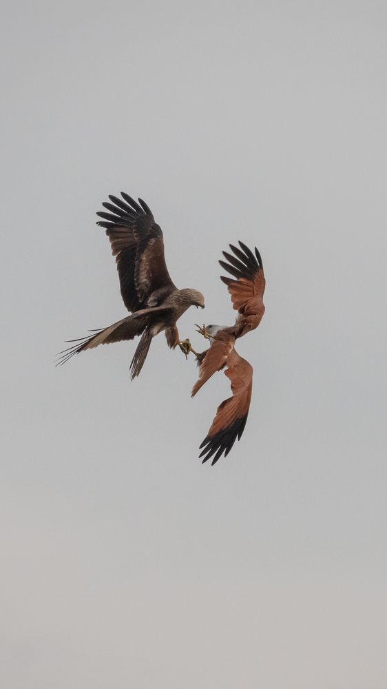 Photograph by GOVIND VISWANATH