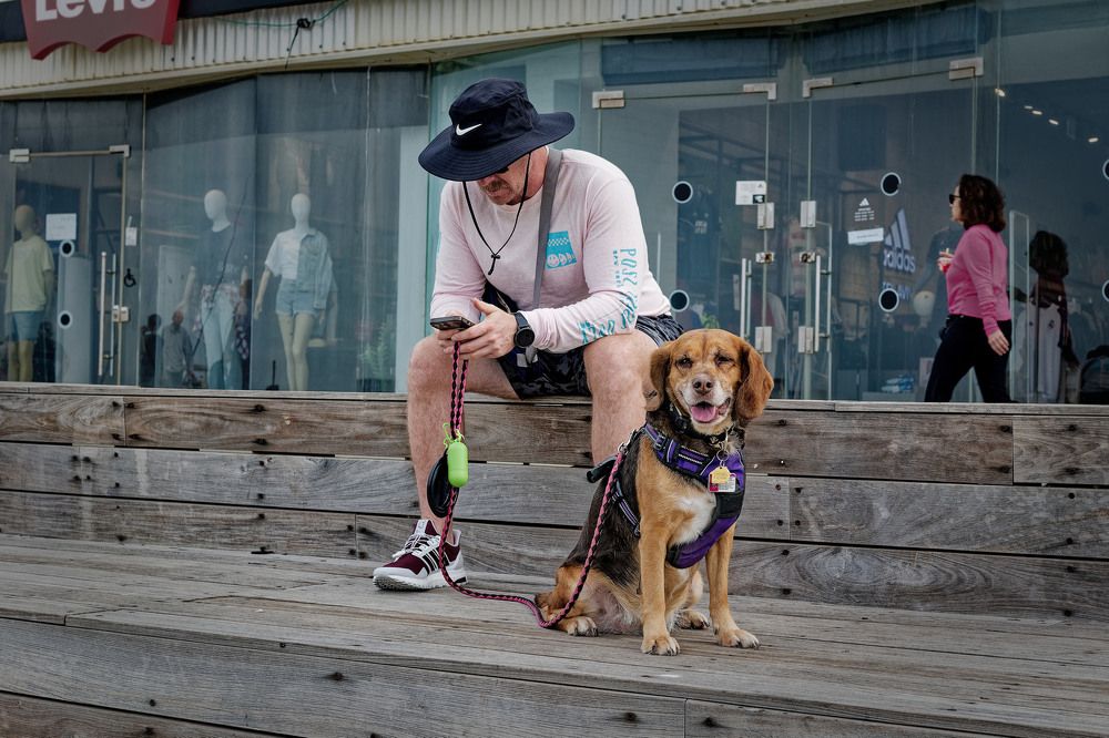 Фотография автора David Solodar