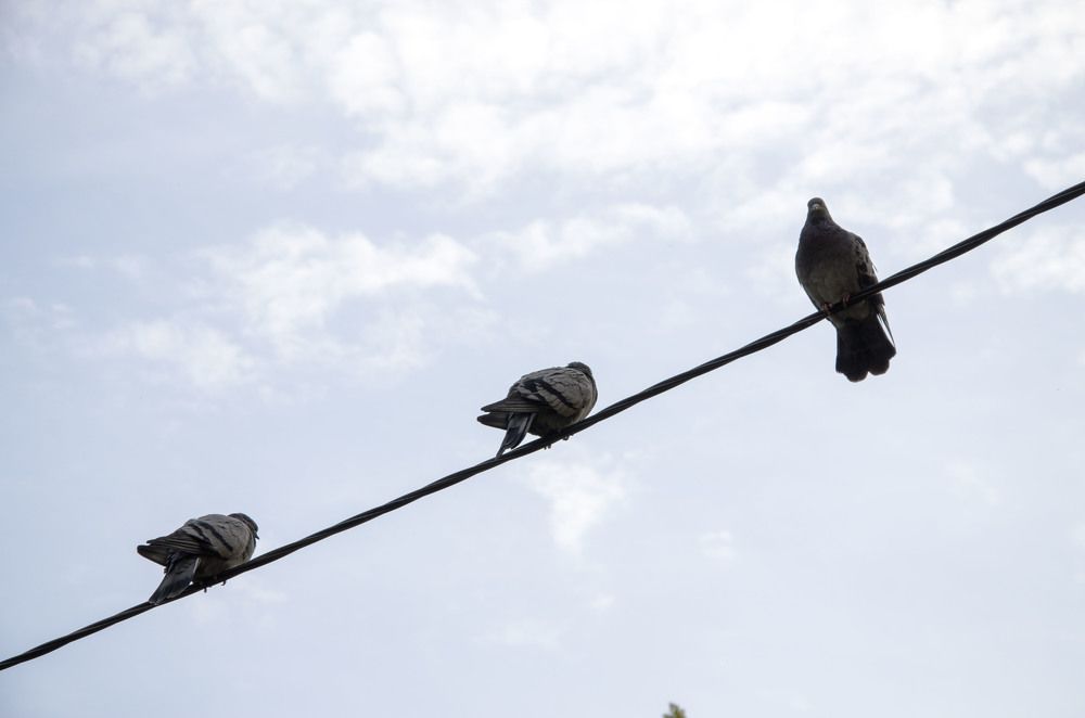 Photograph by Ульяна Бедрицкая