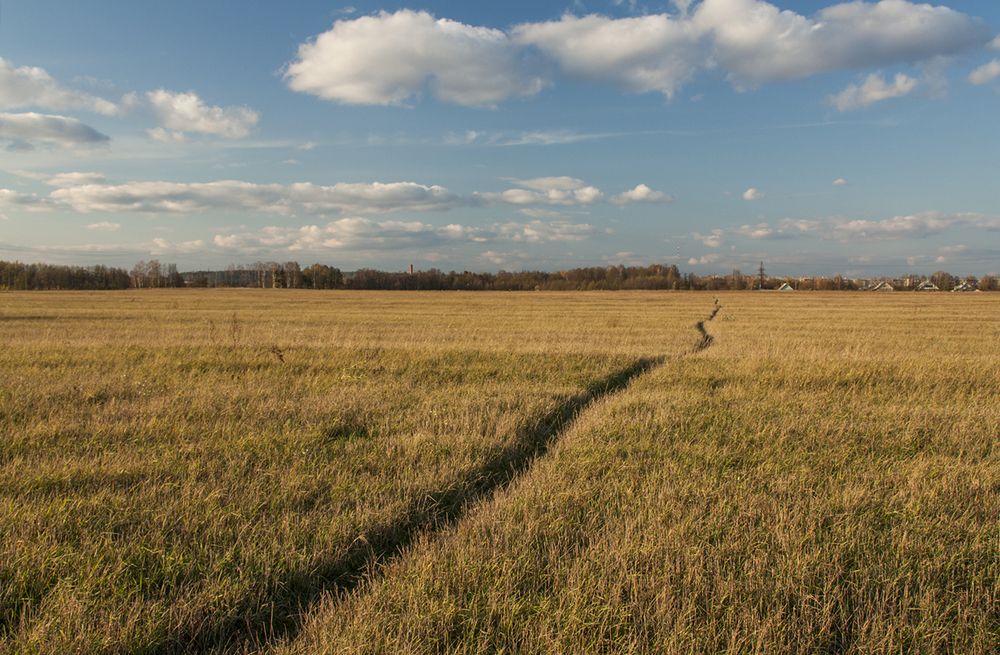Photograph by Николай Кузьмин