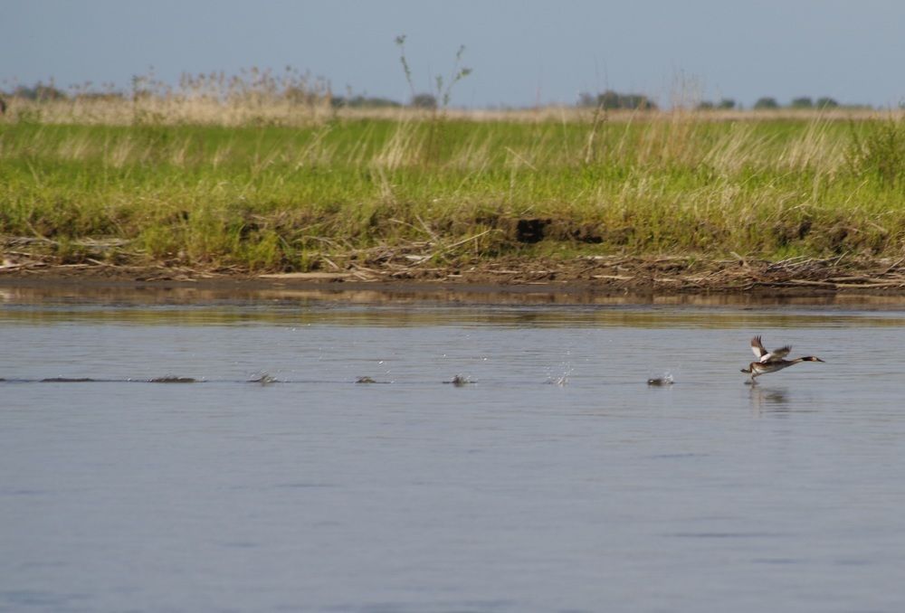 Photograph by Андрей