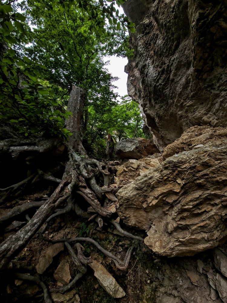 Photograph by Natali AB