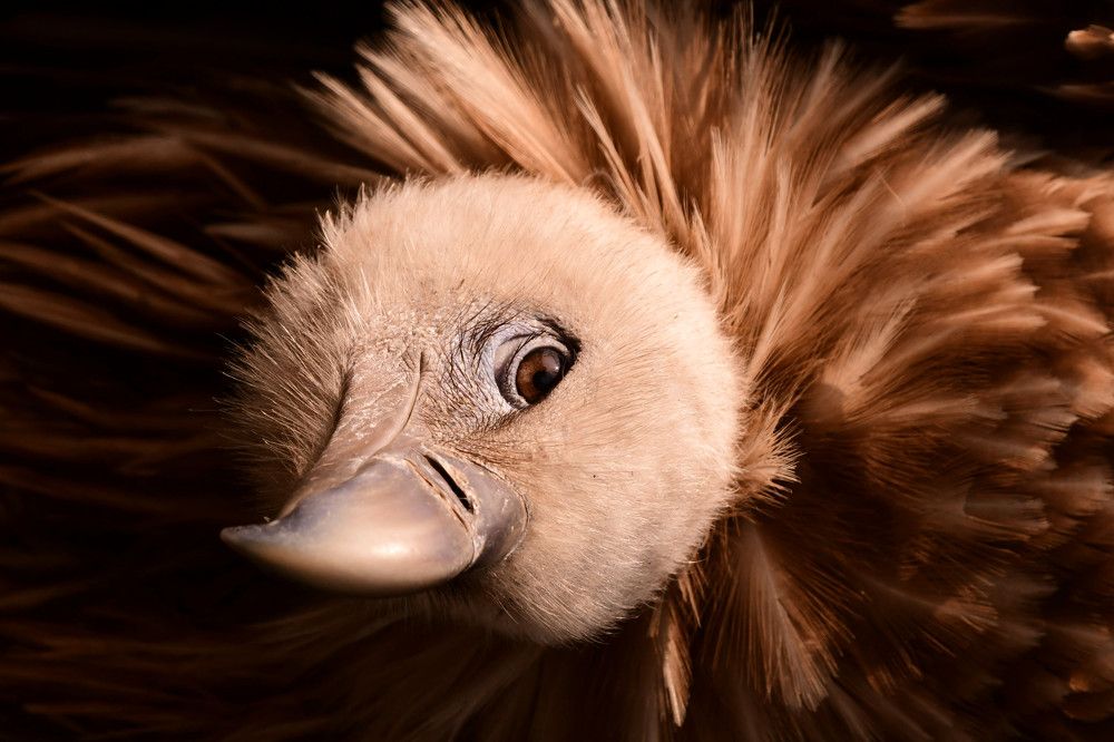 Photograph by Olga Joshi