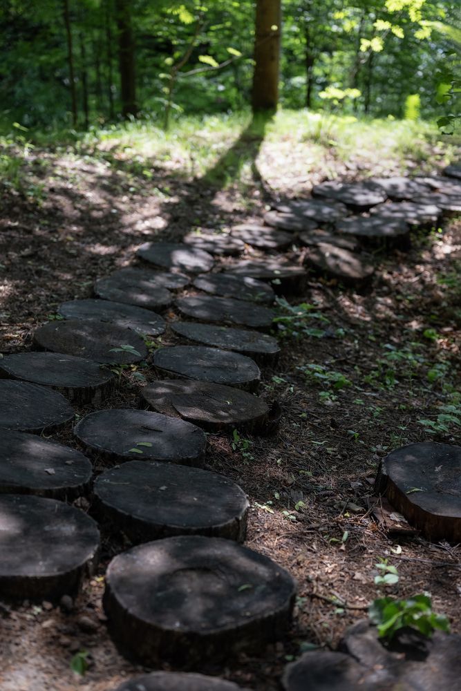 Photograph by Марина Шевцова