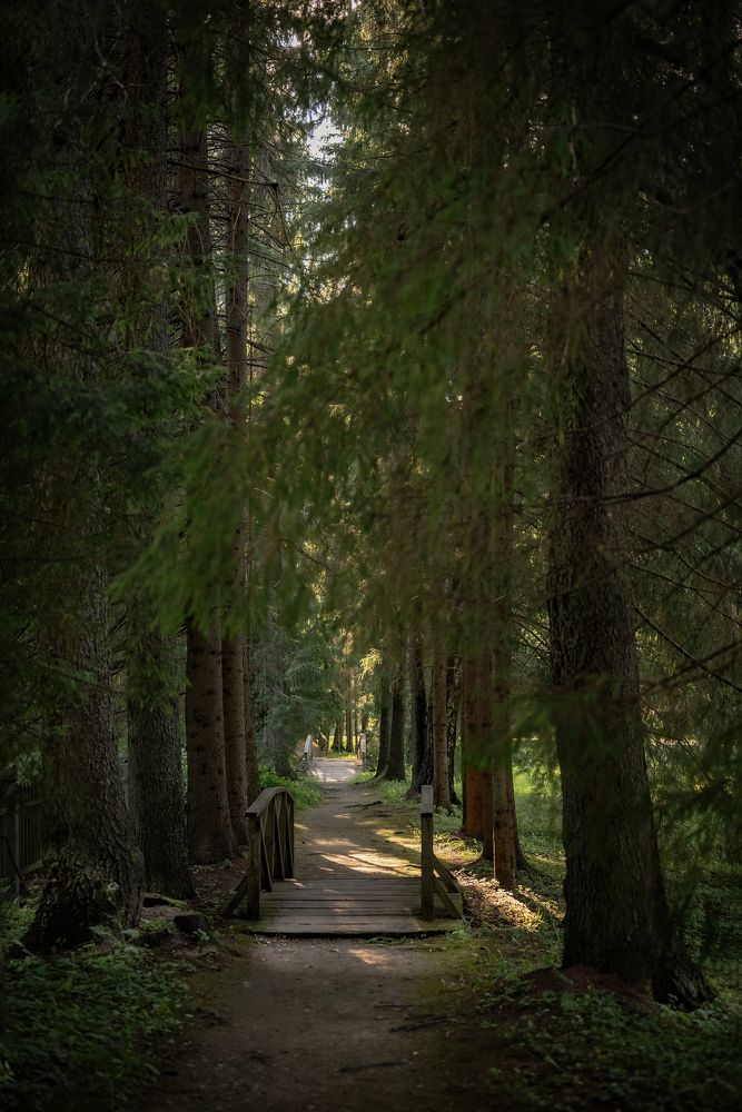 Photograph by Марина Шевцова