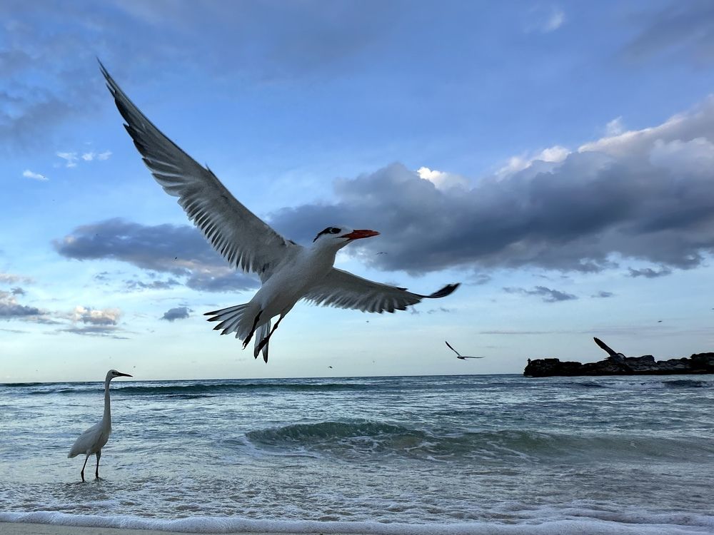 Photograph by Jorge De La Mora Toscana