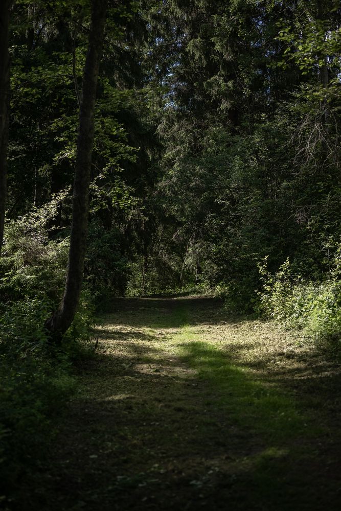 Photograph by Марина Шевцова