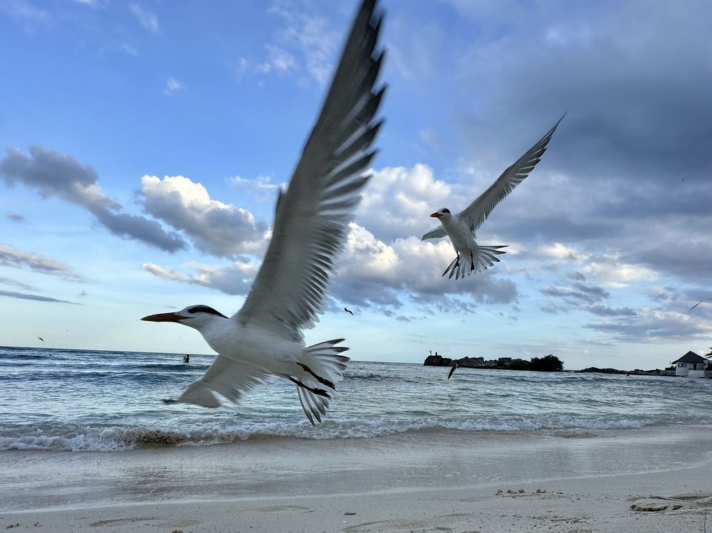 Photograph by Jorge De La Mora Toscana