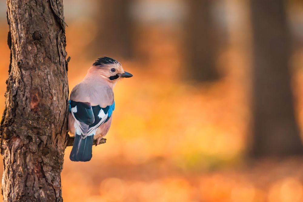 Photograph by Саша Козырев