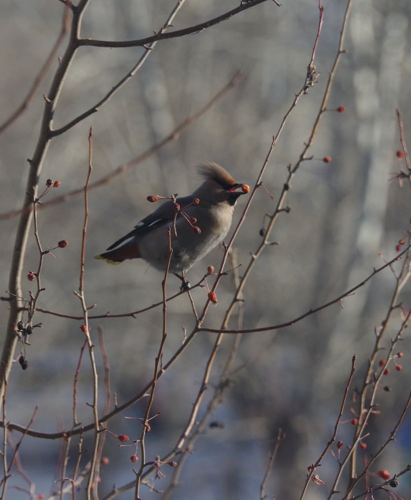 Photograph by Андрей