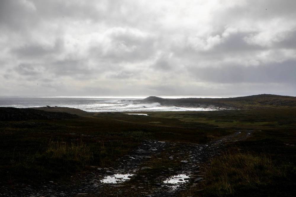 Photograph by Svetlana Porokhovnikova