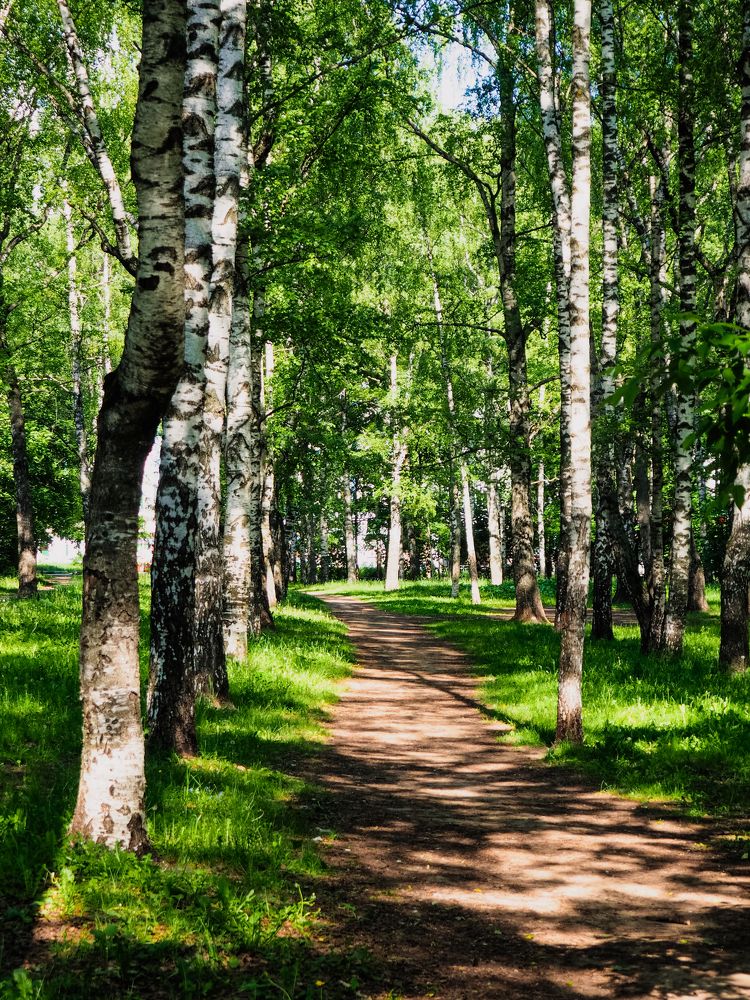 Photograph by Олег