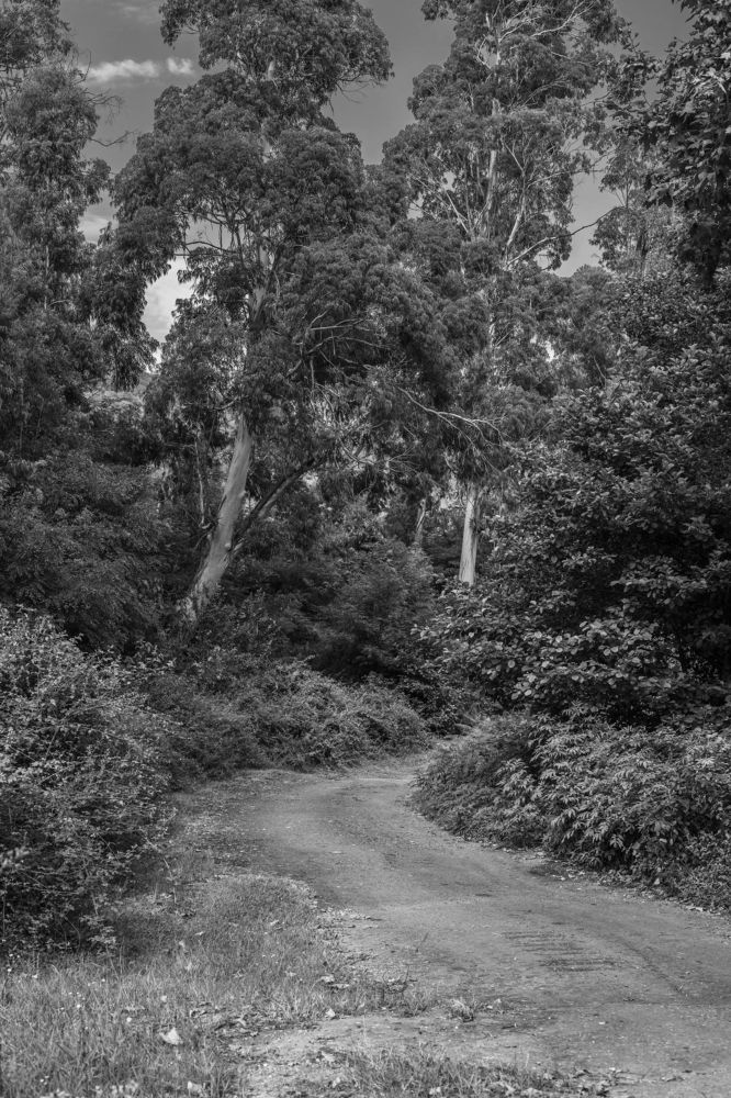 Photograph by Ольга Кривенцова