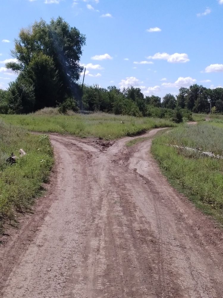 Photograph by Марта Васильева