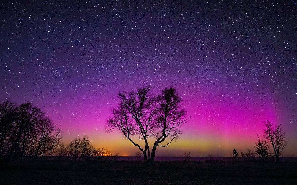 Photograph by Olga Link