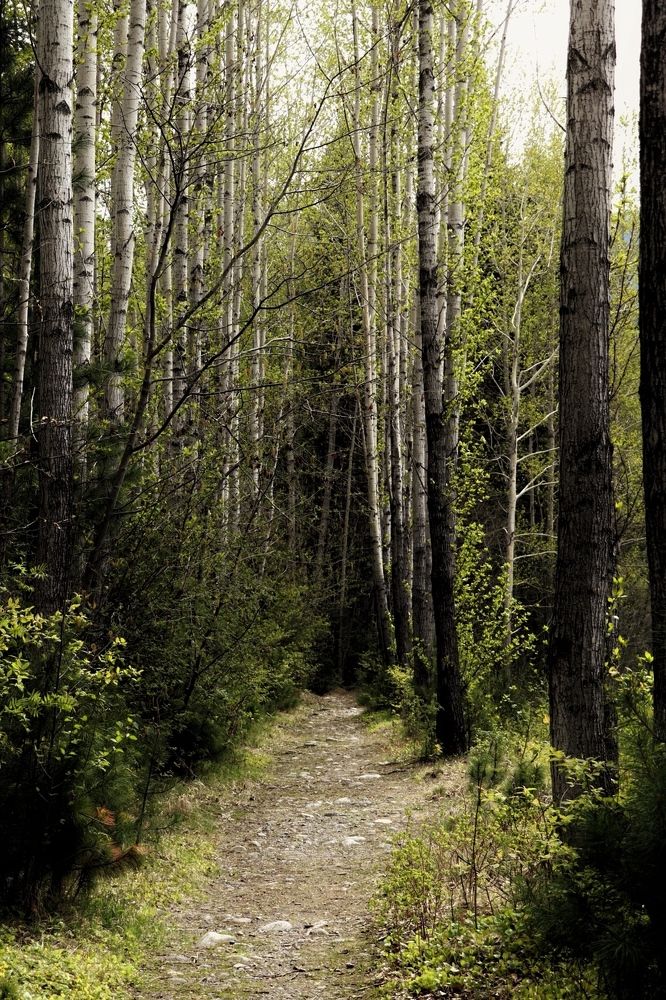 Photograph by Татьяна Кужлекова