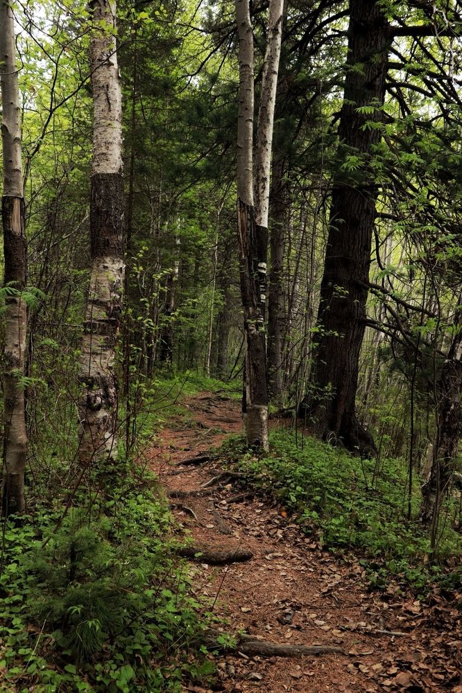 Photograph by Татьяна Кужлекова