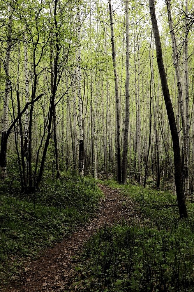 Photograph by Татьяна Кужлекова