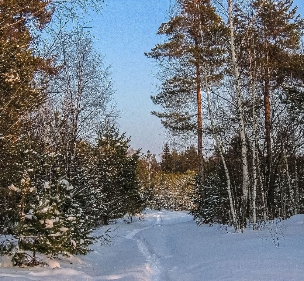 Photograph by Vladimir  Komarov
