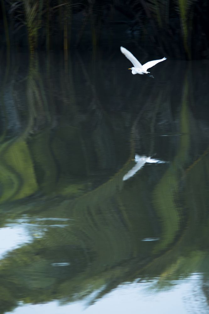 Photograph by Md Sabbir Khan