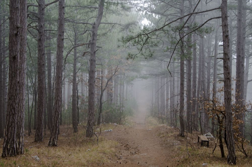 Photograph by Юрий Юрченко