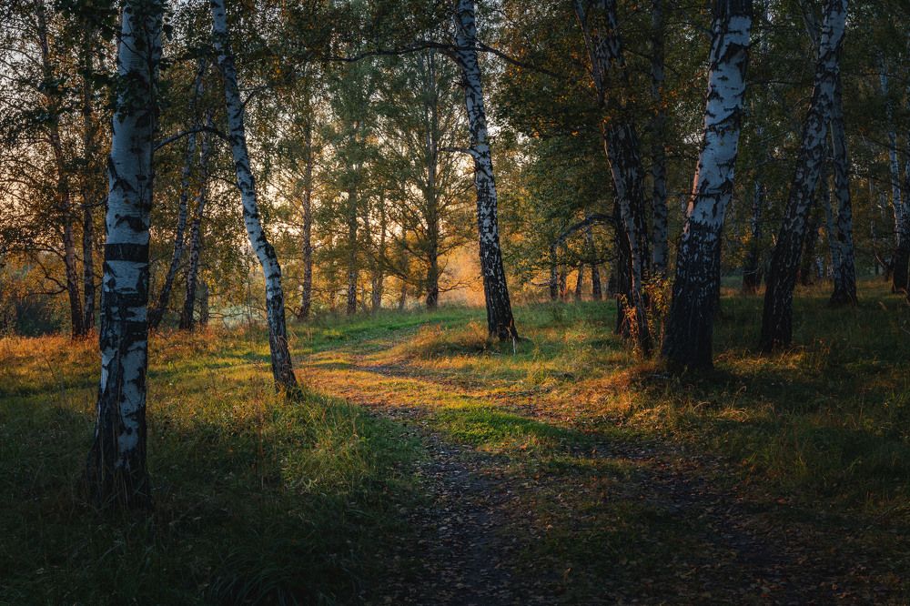 Photograph by Павел Гавриков