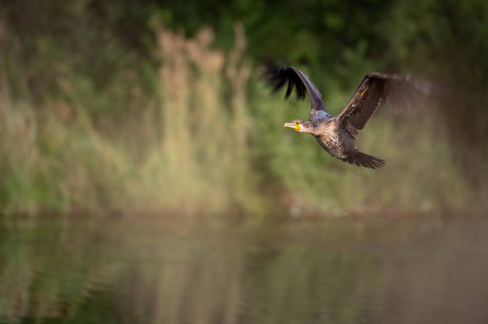 Photograph by Светлана Андреева