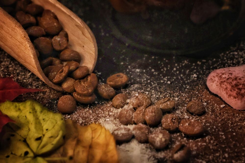 Photograph by Olga Asson