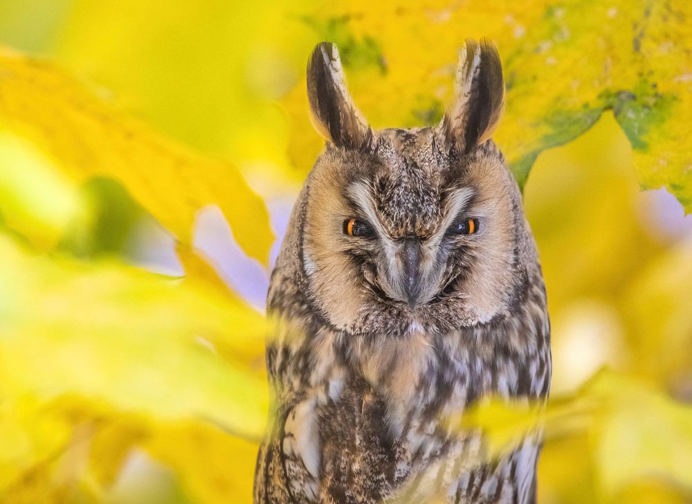 Photograph by Власов Егор