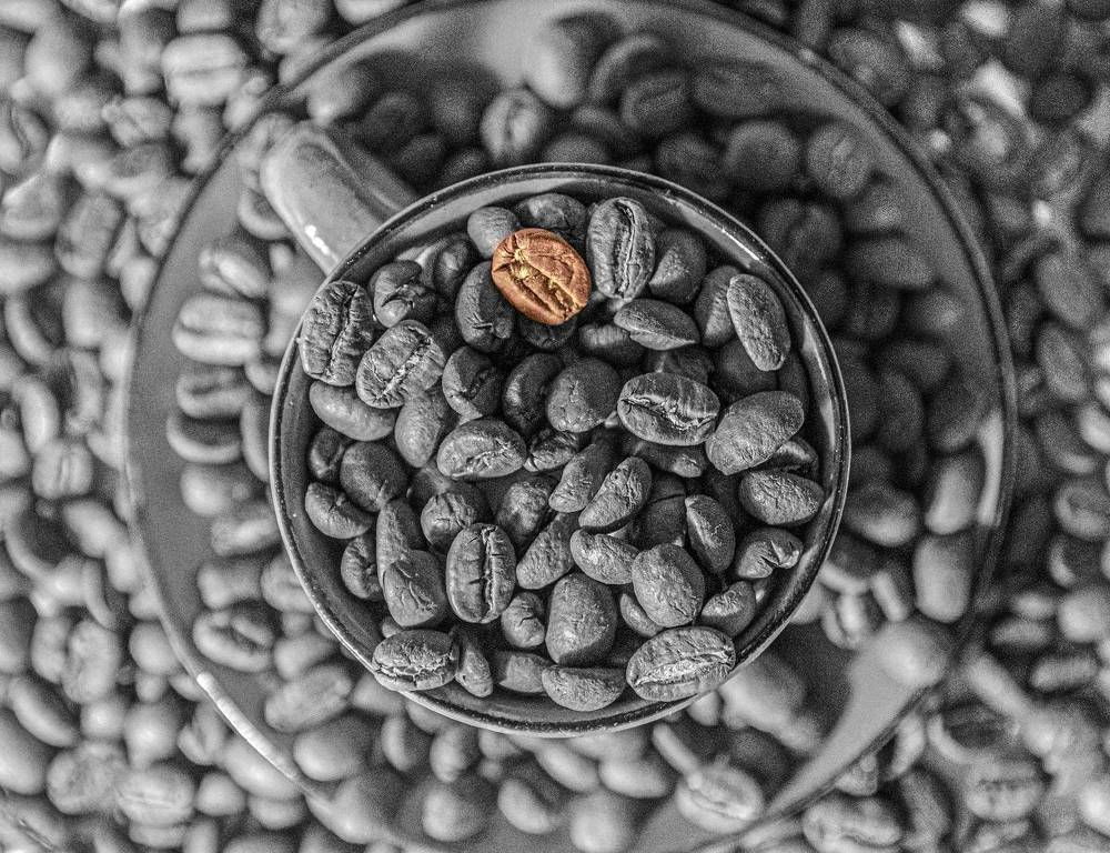 Photograph by Сергей Христинич