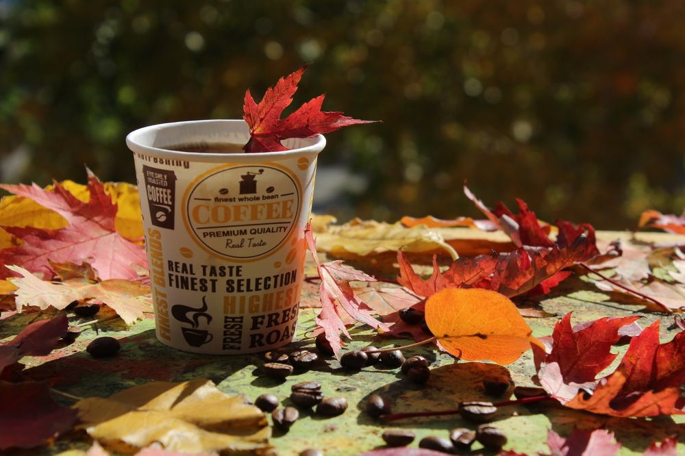 Photograph by Сироткина Нина