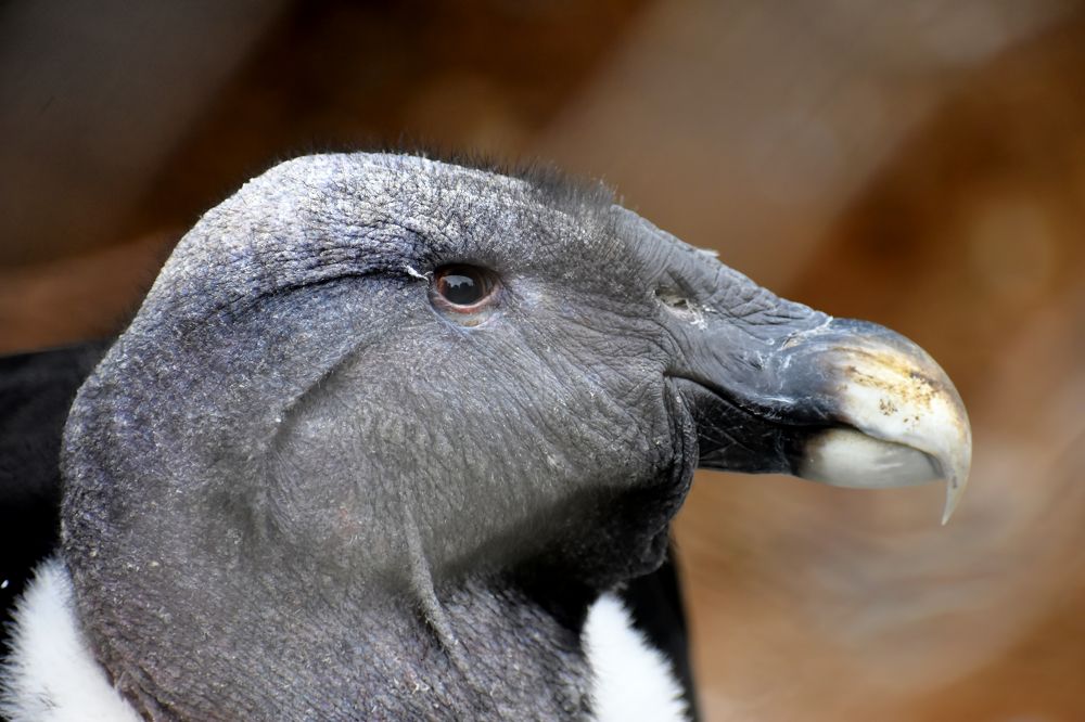 Photograph by Владислав Кравцов