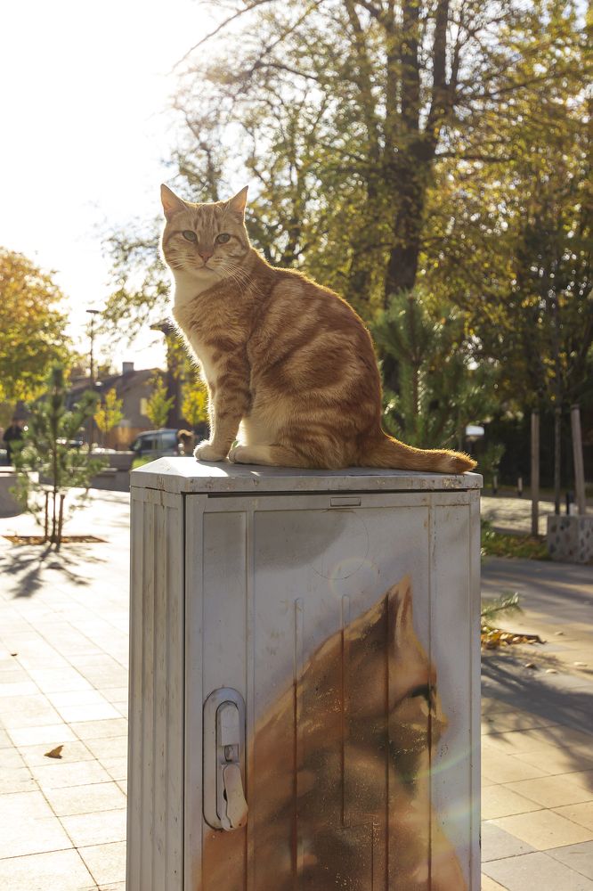 Photograph by Николай Зорин