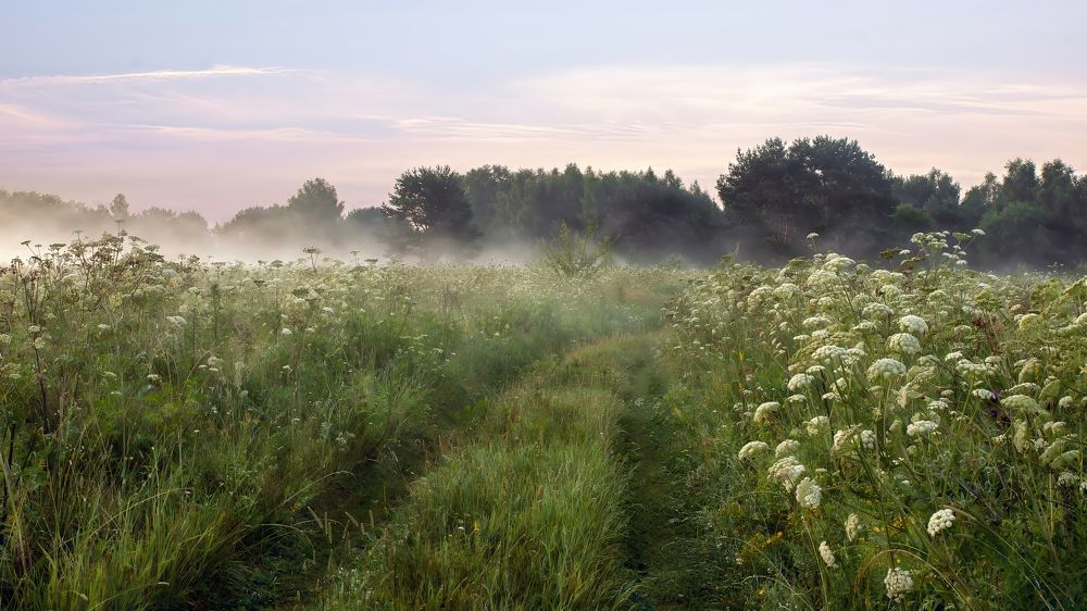 Photograph by Людмила Железнова