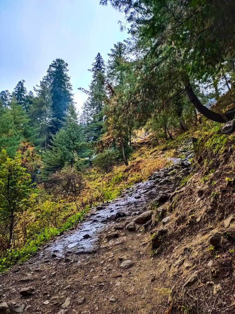 Photograph by RINI GHOSH