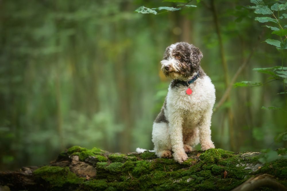 Photograph by Dmitry Ishniyazov