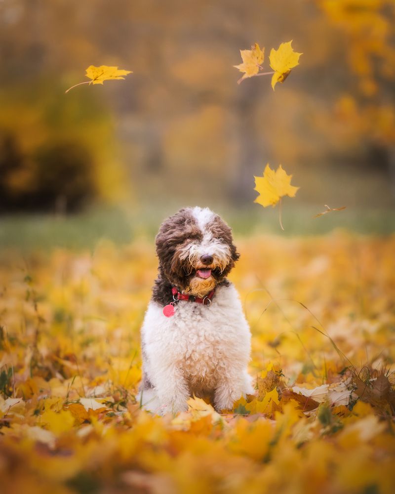 Photograph by Dmitry Ishniyazov