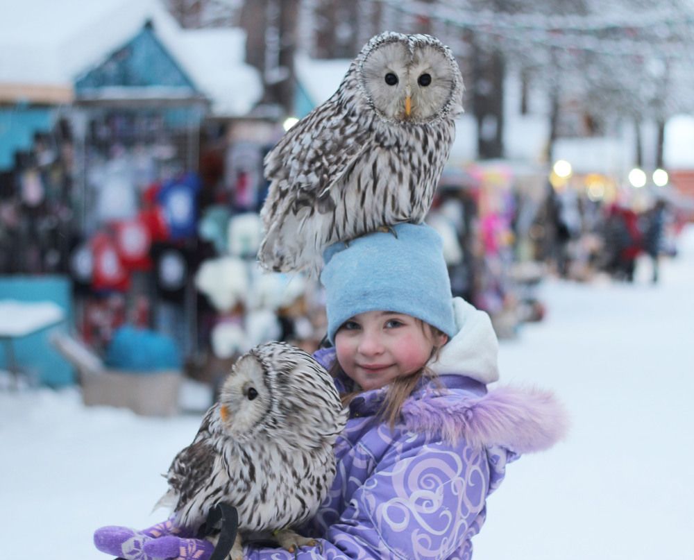 Photograph by Светлана Зотова