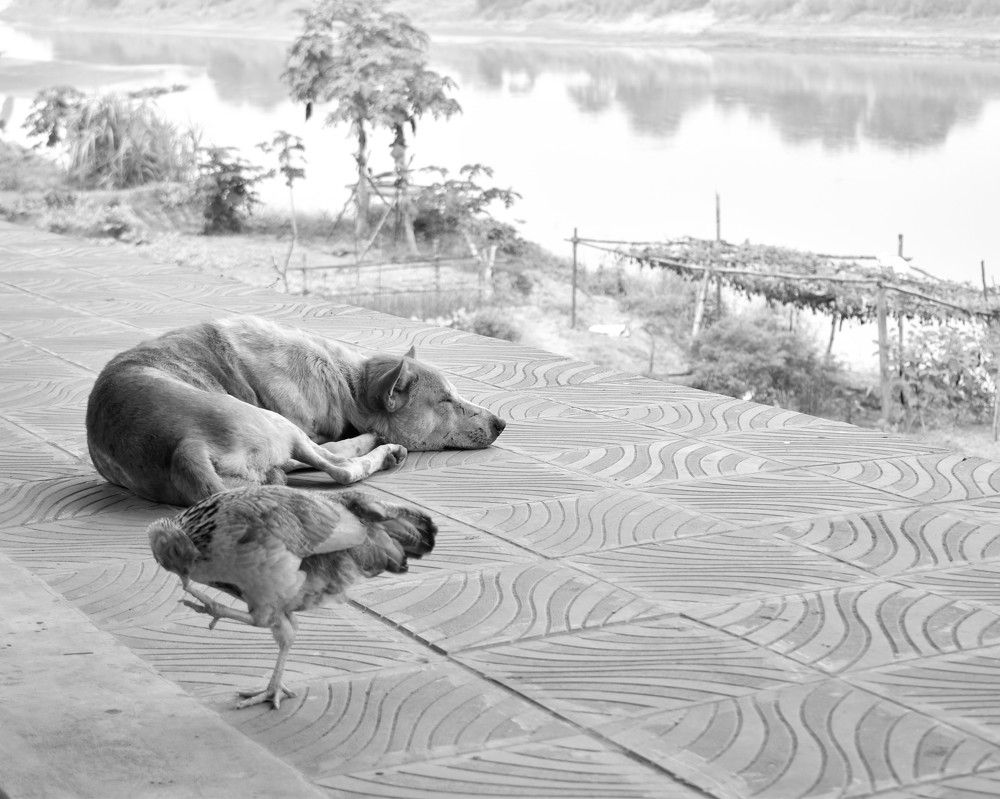 Фотография автора Sheuli Akther